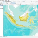 Shapefile (SHP) Peta Penutupan Lahan Seluruh Indonesia Update Terbaru