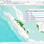 Shapefile (SHP) Peta Lahan Gambut Seluruh Indonesia
