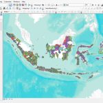 Shapefile (SHP) Peta Rencana Tata Ruang Wilayah (RTRW) Kabupaten/Kota Seluruh Indonesia